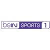 chaines bein sport sfr|beIN SPORTS : Sports en Direct et Replay